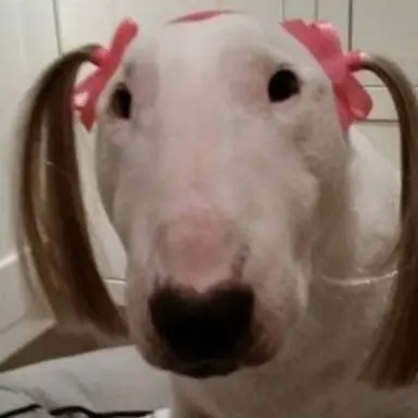 Profile image of 늑후