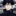 伏黒恵