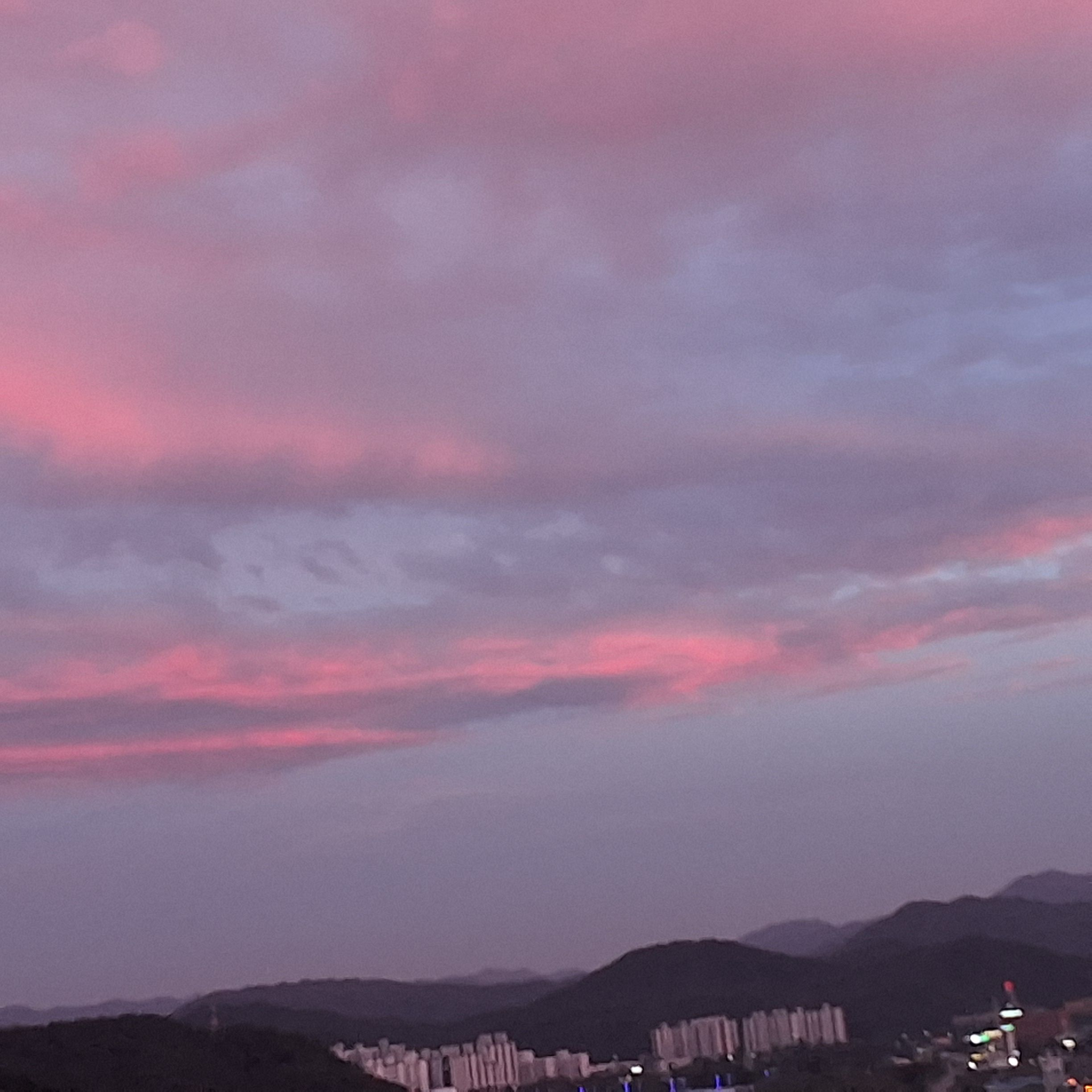 스프런키 늑대 대표 이미지