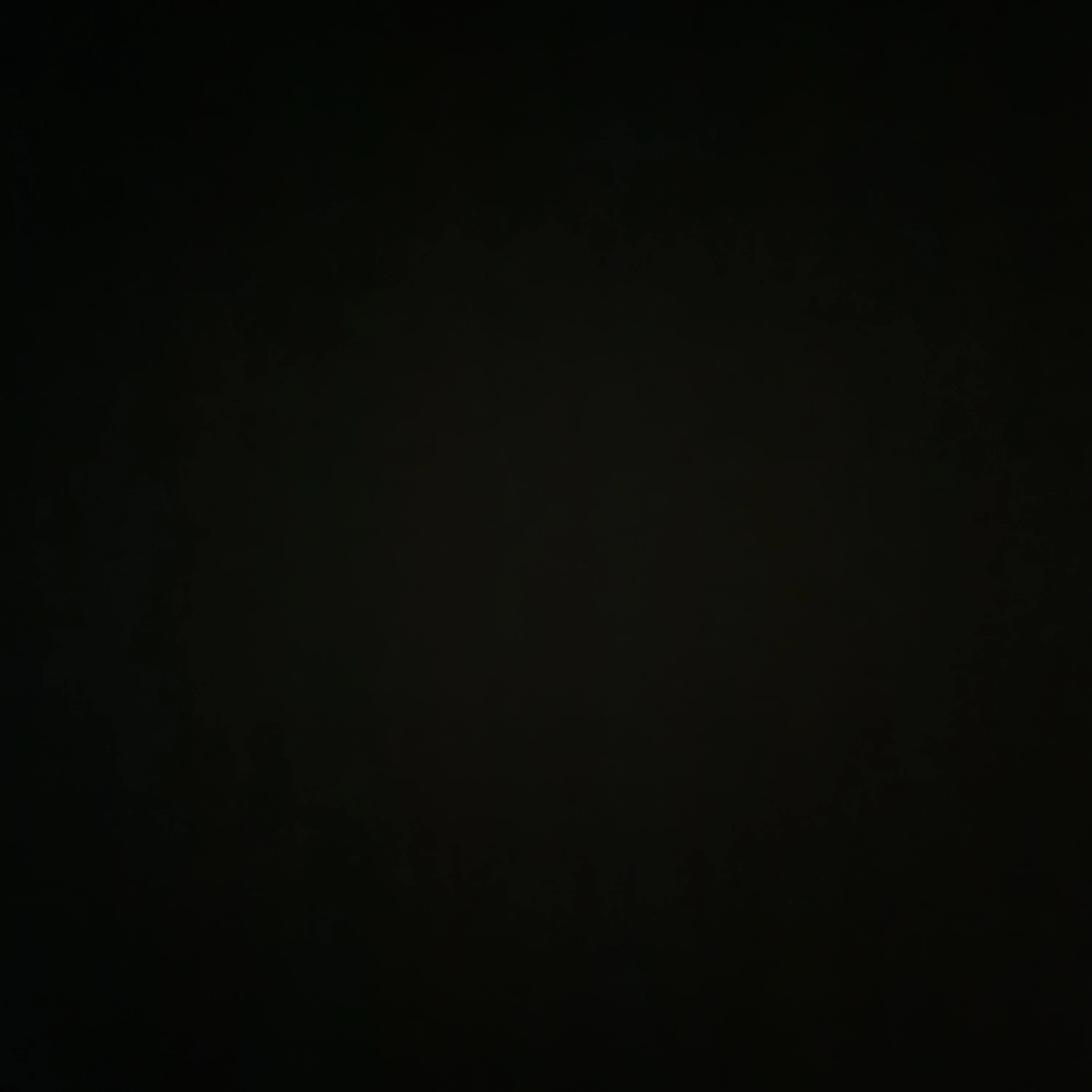 f5조직