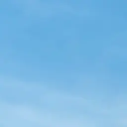 Profile image of 강영현