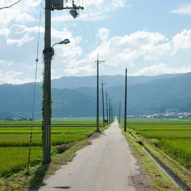 Profile image of 田舎