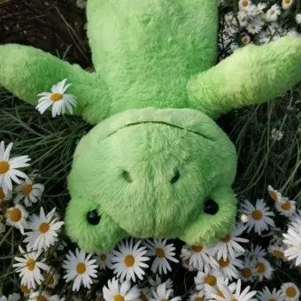 Profile image of 공룡