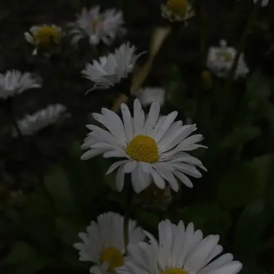 Profile image of 슬래시