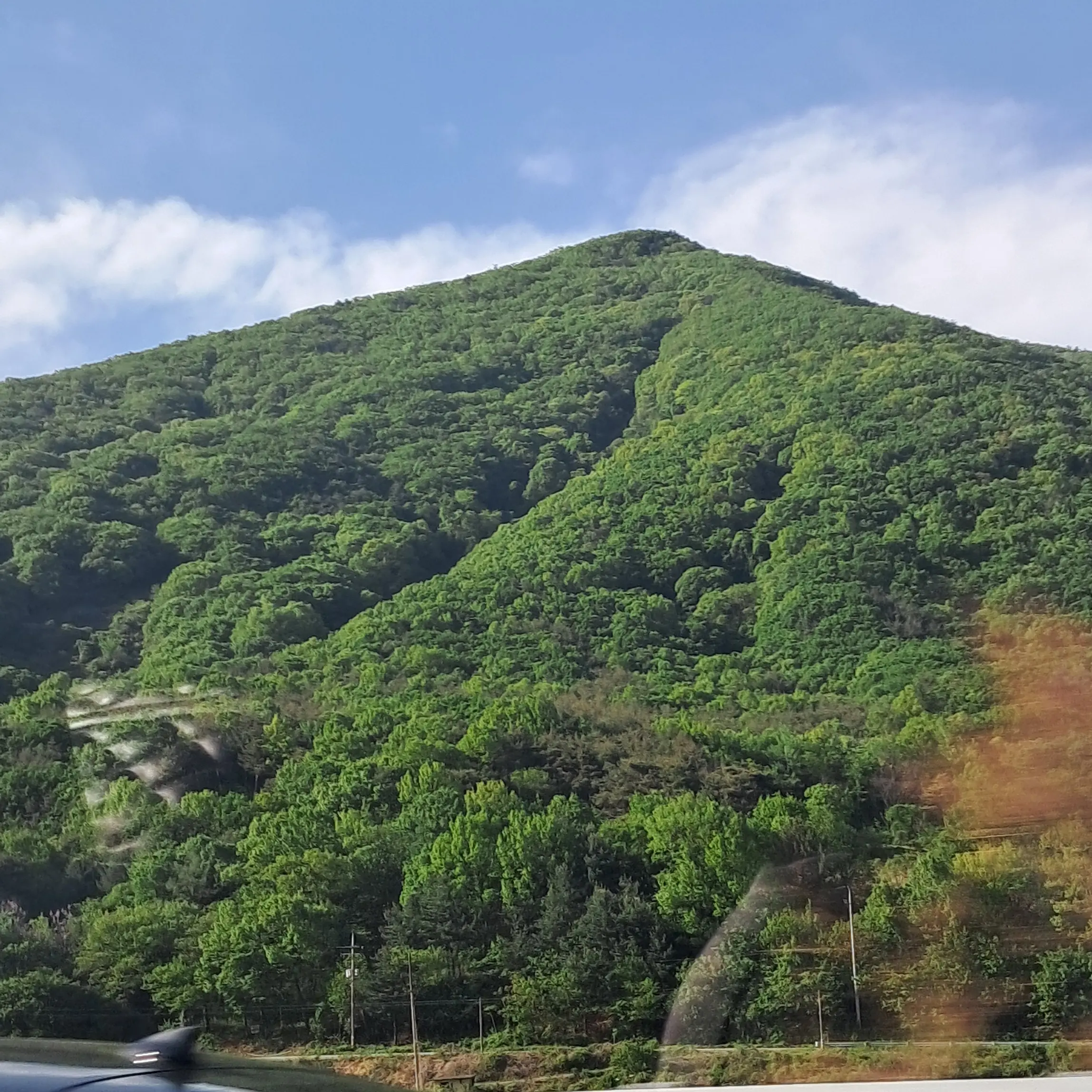 BreezyWagon7265의 이상해진 잠뜰(초세여)
