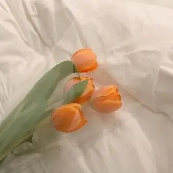 MAYJ0310의 21세기 대군부인