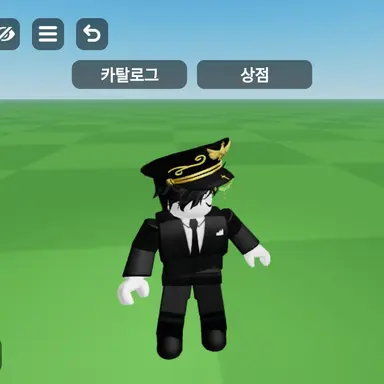 Profile image of 류인