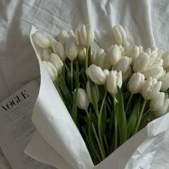 Profile image of 고은