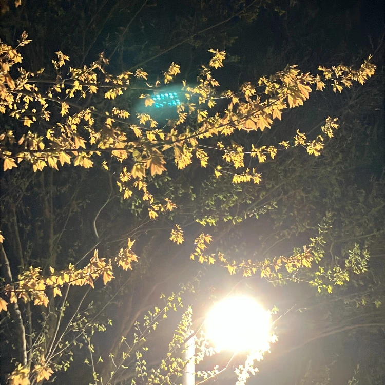 김준구