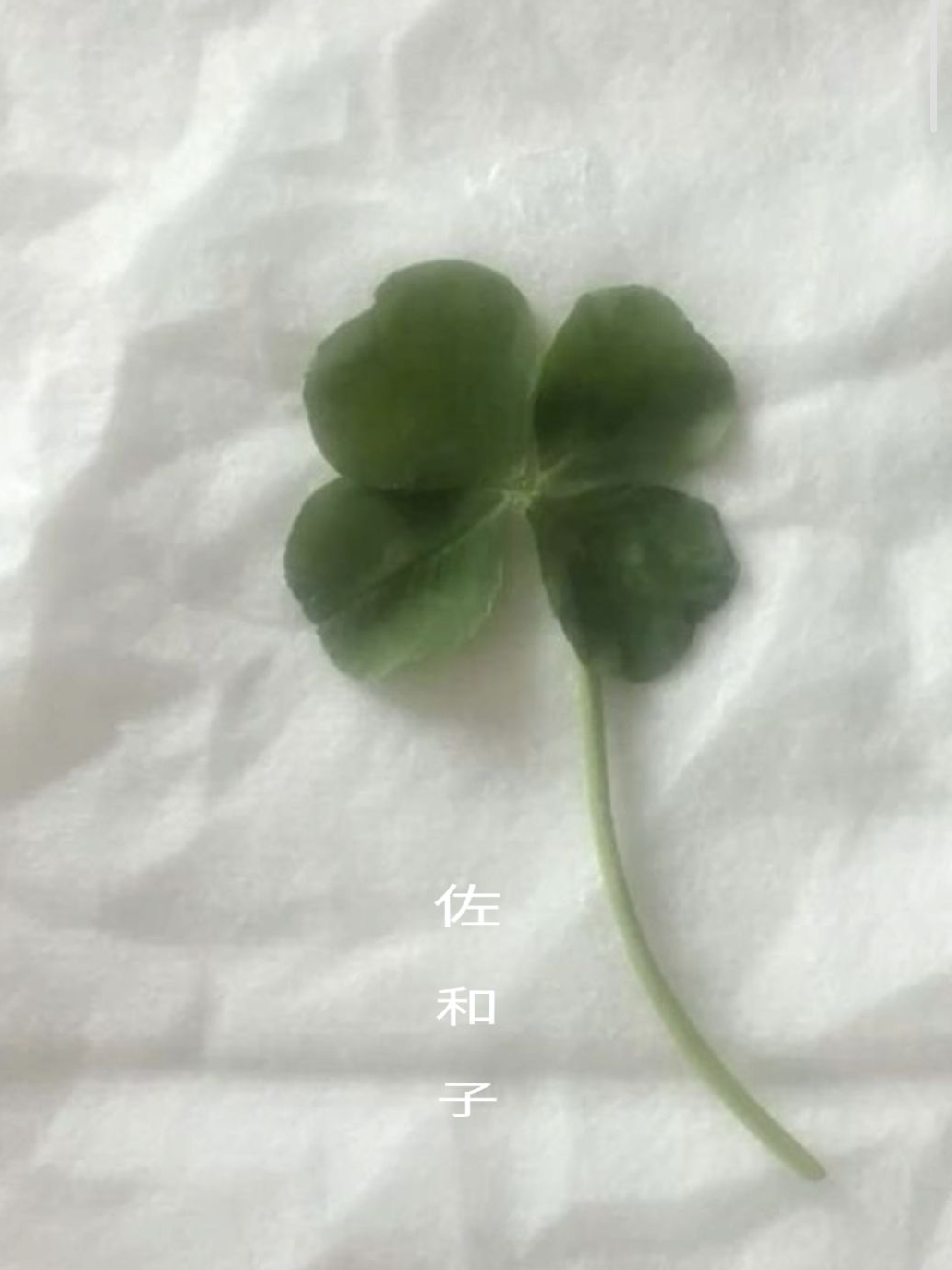 ! 강 성 재 ! 대표 이미지