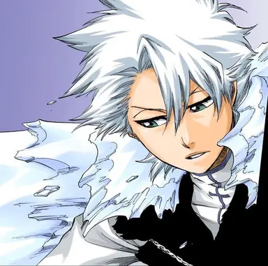 Profile image of 日番谷冬獅郎