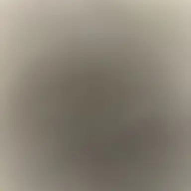 Profile image of 쵸단