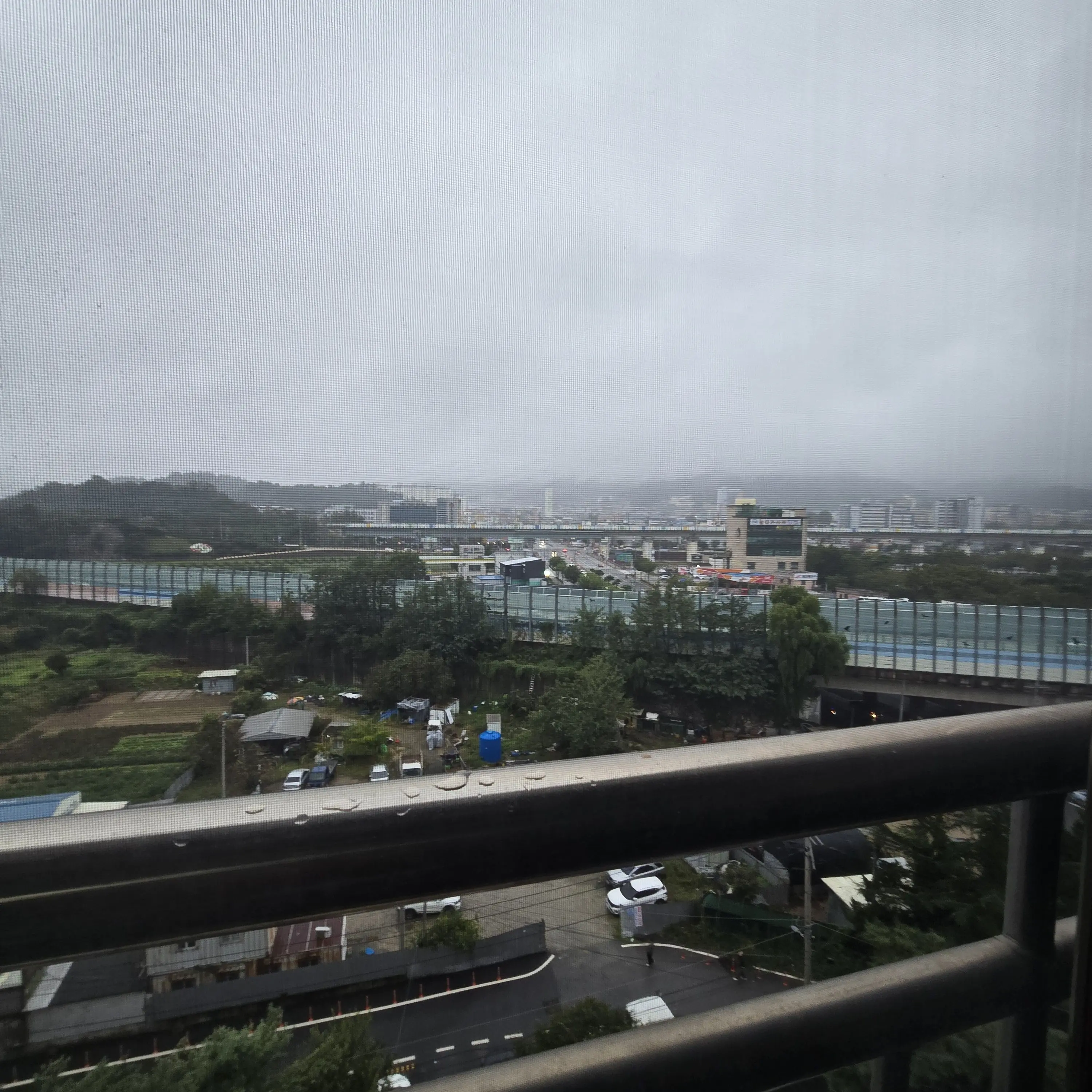 AIZO의 미수반의 행동이 과연 괜찮을까..?