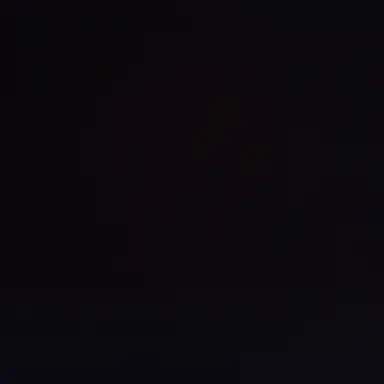 Profile image of 트웰 로스니