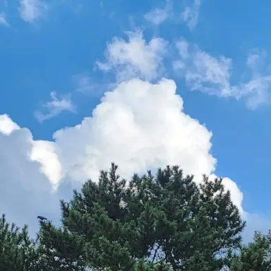 Profile image of 이민호