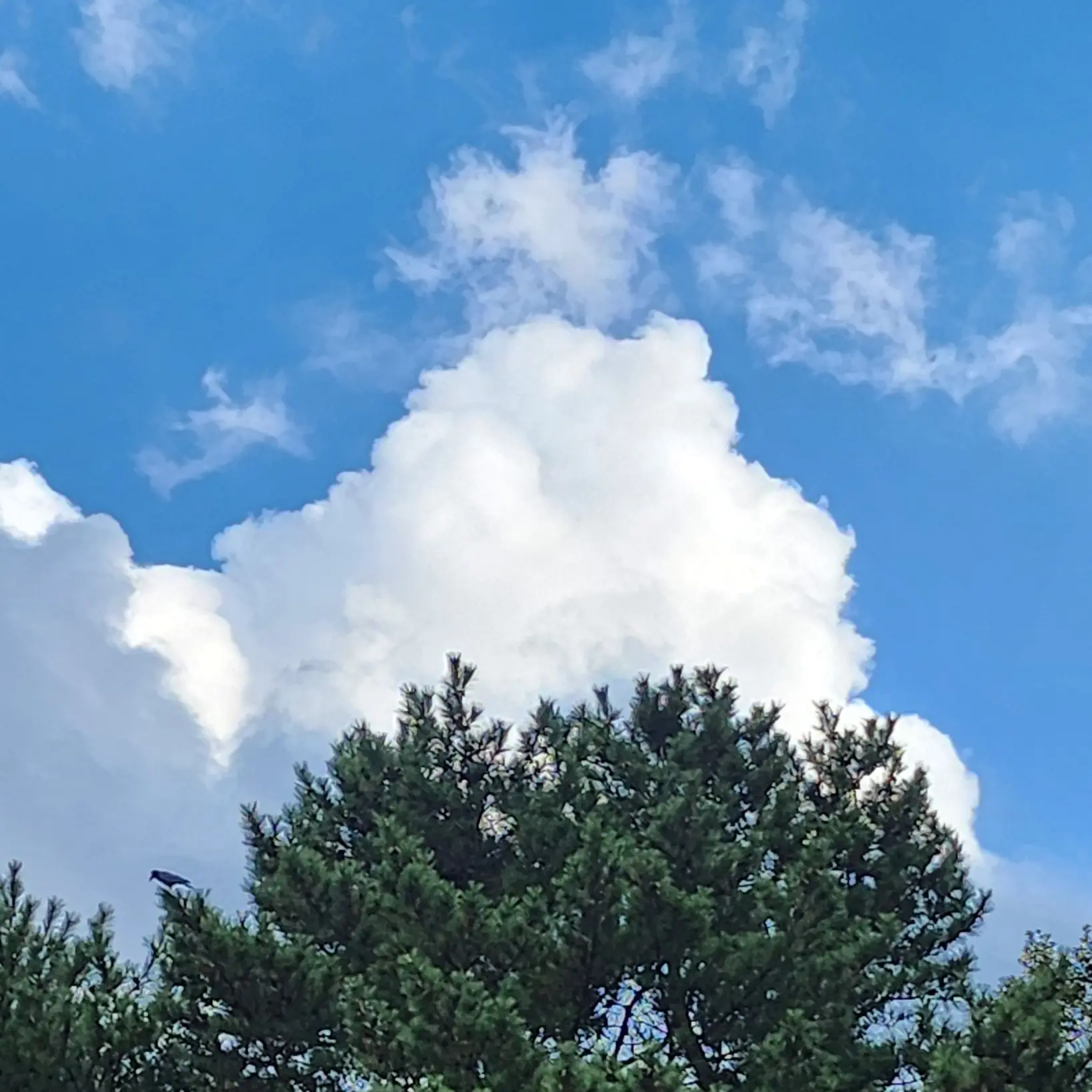 ShrillBelt2681의 이민호