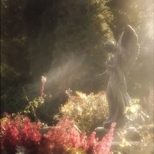 272bs의 신비한 정원 RPG