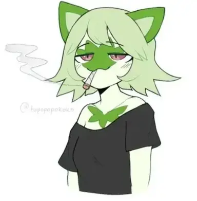 Profile image of Sprigatito
