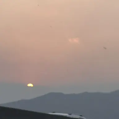 Profile image of 로희