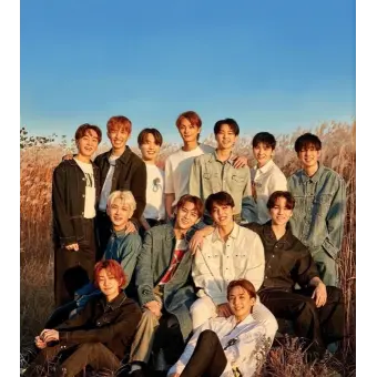 Reka10의 세븐틴 학교 생활 (여우편)