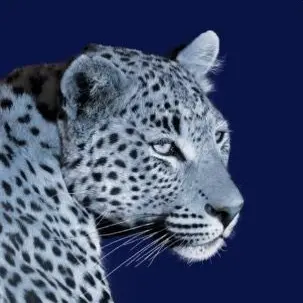Profile image of Victoria