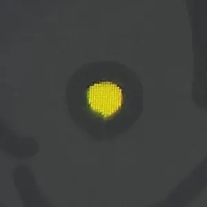 Profile image of ルイ