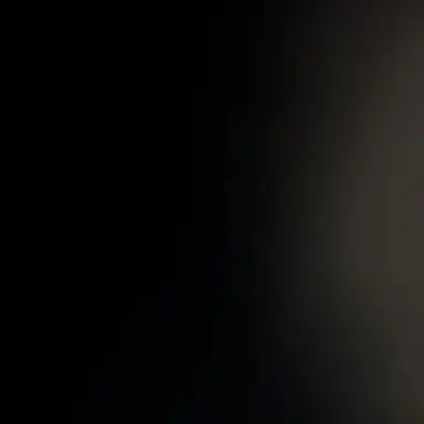 Profile image of 한동민