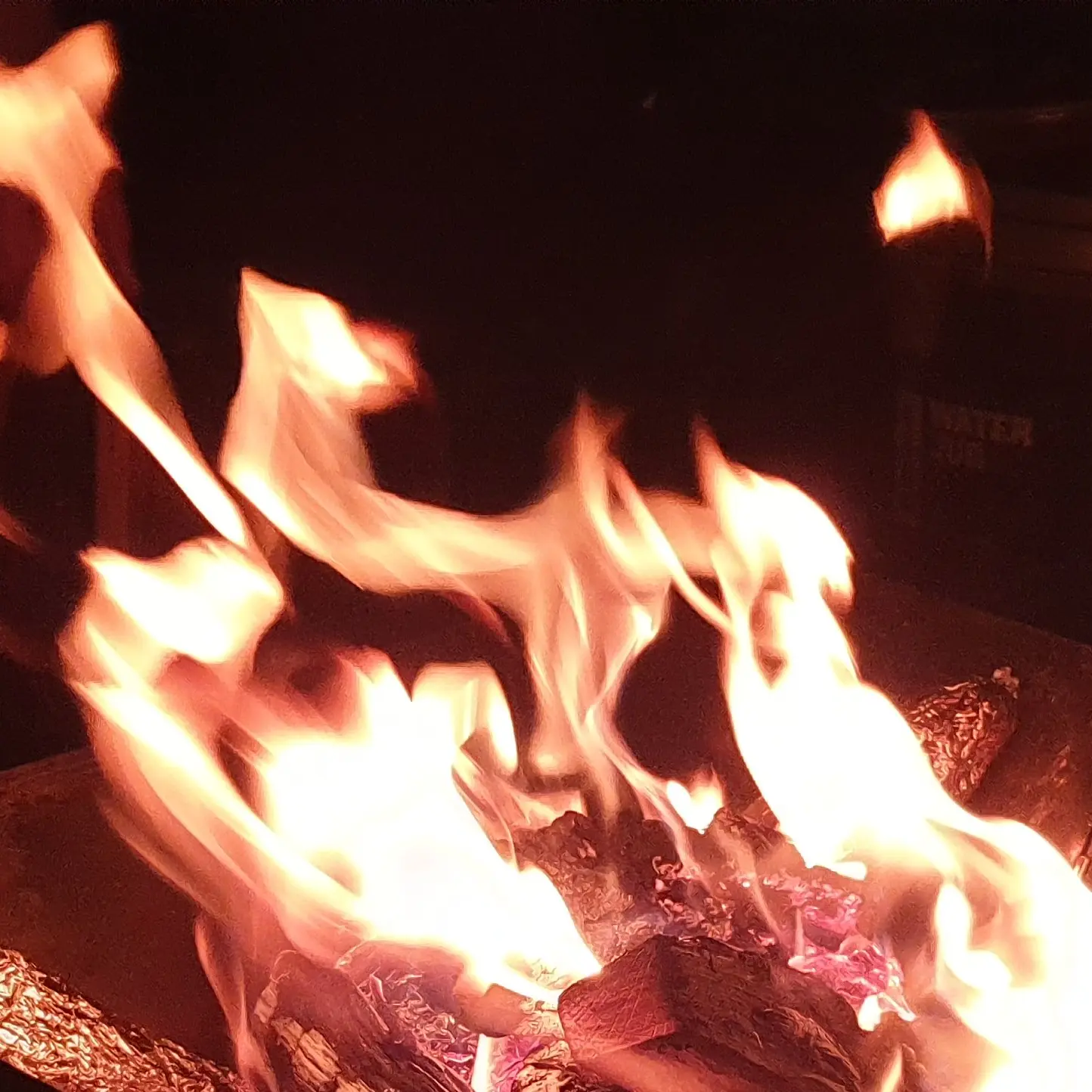 TrueEar9313의 고고프렌즈 조직