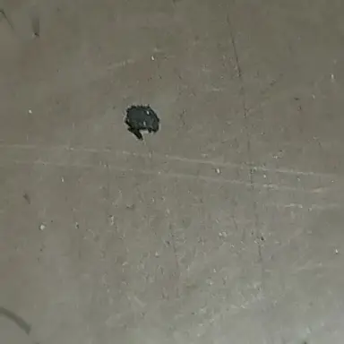 Profile image of 토미오카 기유