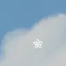 Profile image of 잠뜰