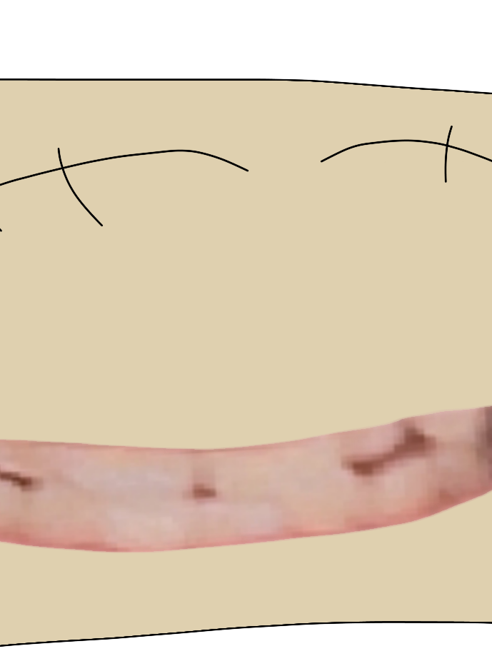 가온 태권도 대표 이미지