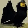 Profile image of 유노마피