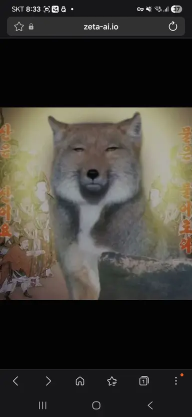 Profile image of 여우
