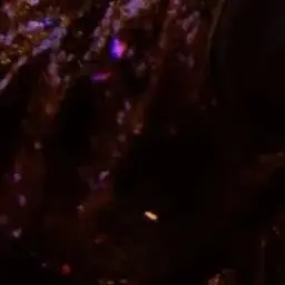 Profile image of 大森元貴