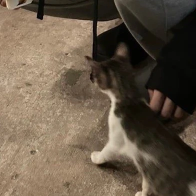 성한빈