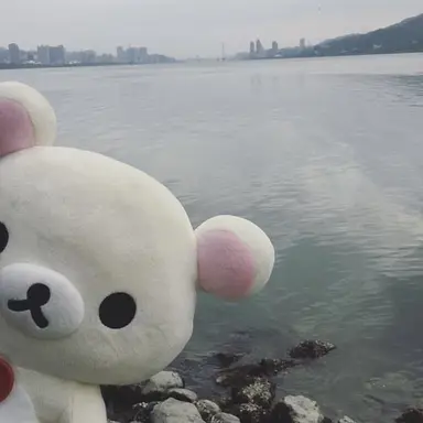 Profile image of 김일영