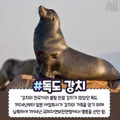 Profile image of 독도강치