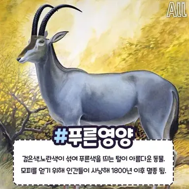 Profile image of 푸른영양
