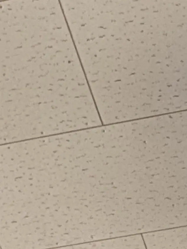 Kurosann의 今日も騒がしい…