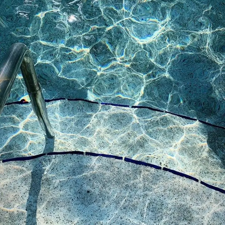 jelly_fish_의 {서라더}
