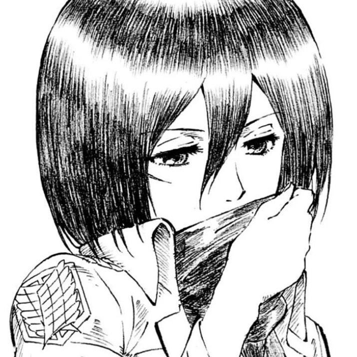 ミカサ