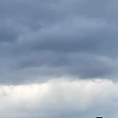 Profile image of 잠뜰