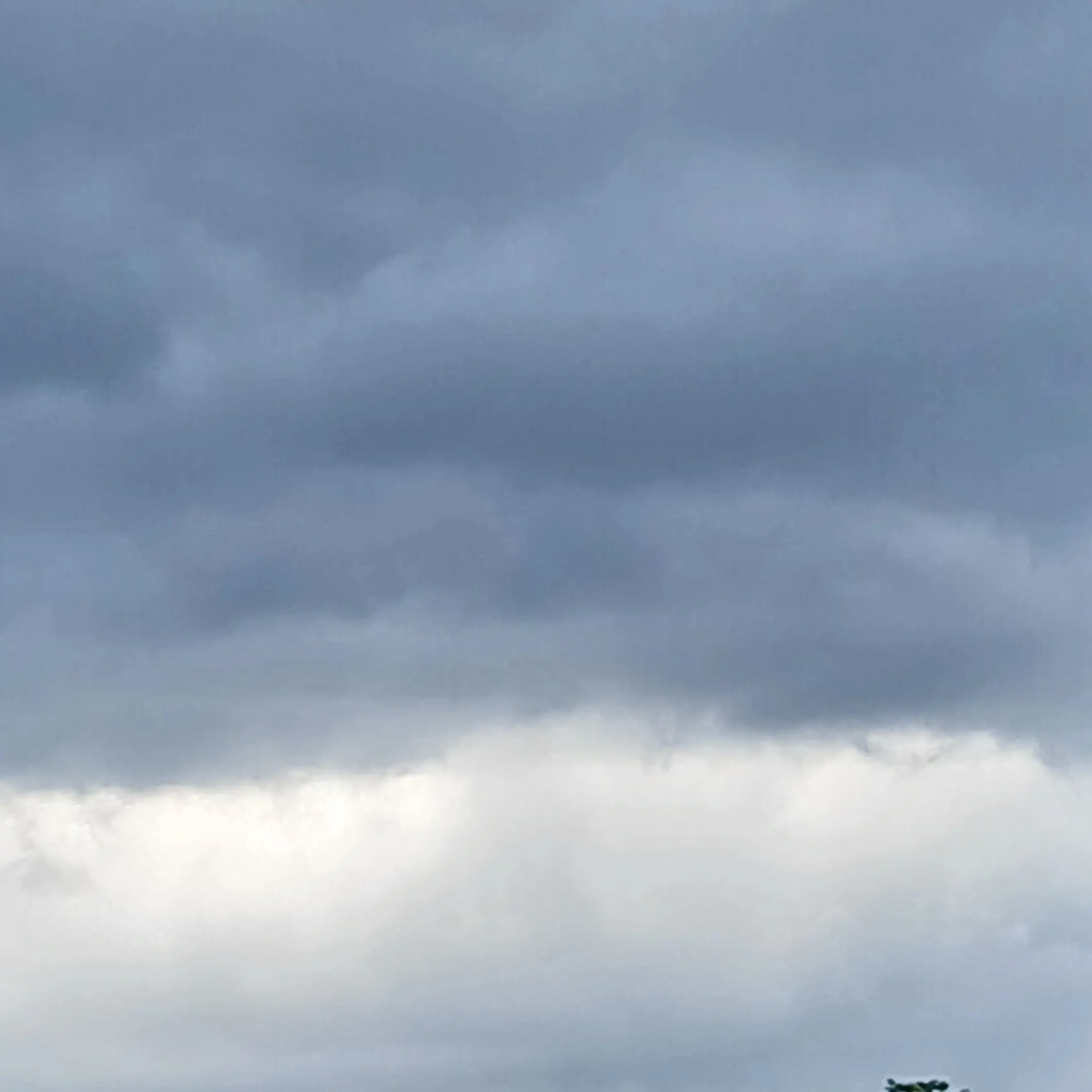 Rumi0804의 픽셀리 조직