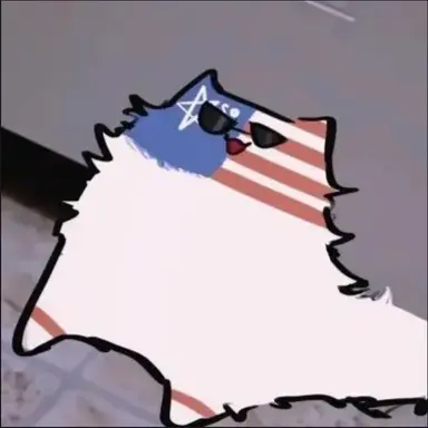 Profile image of 미국