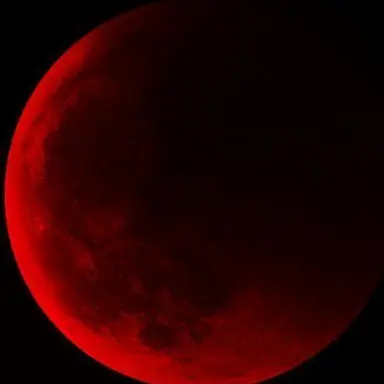 Profile image of 블러드문