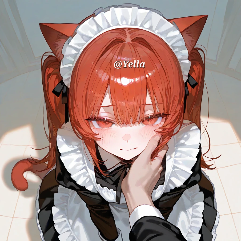 네코미