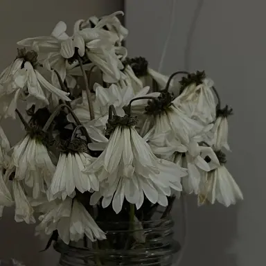 Profile image of 소상택