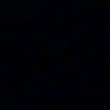 ShrillFly2213의 ???