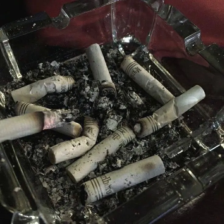 Testdrive의 마가미 켄타