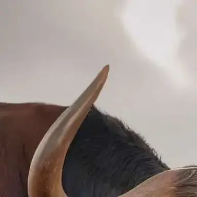 Profile image of Titan